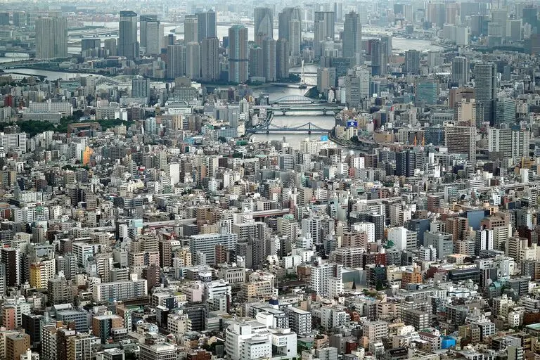 A Market of Immense Proportions / A Market of Vast Scale